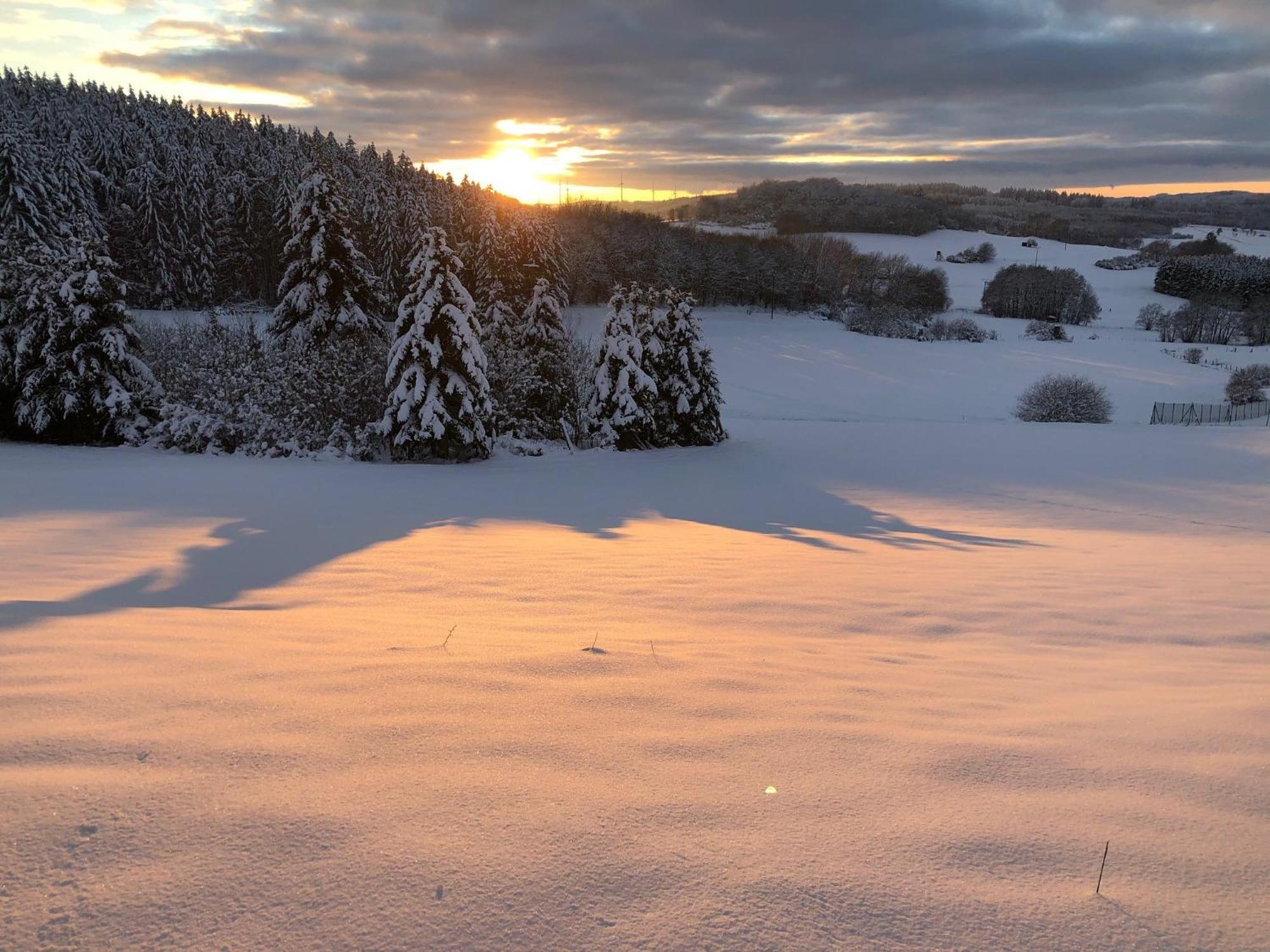 Eifel Panoramablick Lägenhet Kelberg Exteriör bild